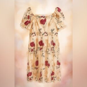 Baltic Born Floral Tulle Embroidered Dress